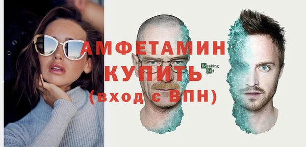 индика Киреевск