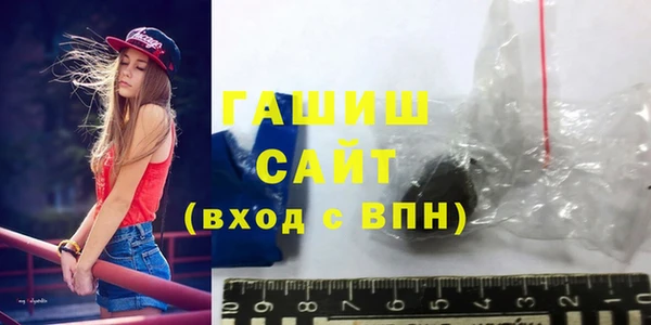 индика Киреевск