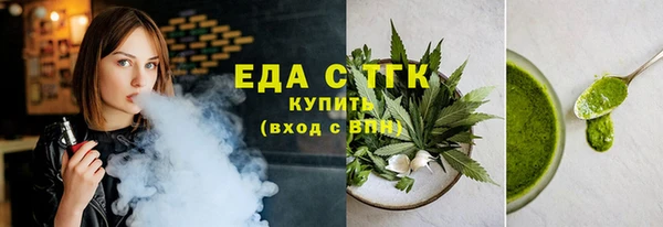 индика Киреевск