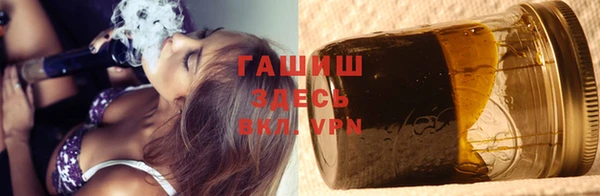 индика Киреевск