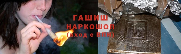 индика Киреевск