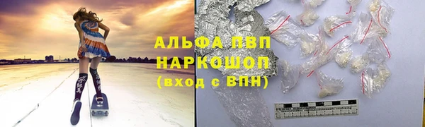 гидра Коряжма