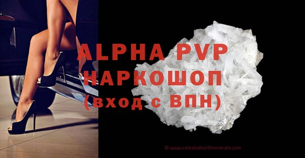 индика Киреевск
