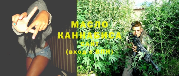 индика Киреевск