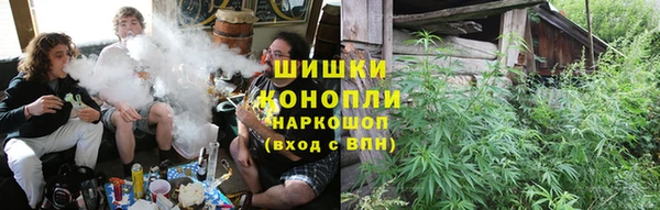 индика Киреевск