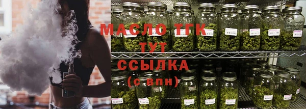 индика Киреевск