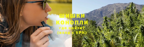 ECSTASY Костерёво