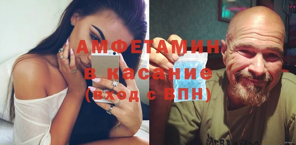 индика Киреевск