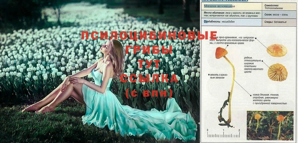 индика Киреевск